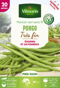 Haricot Pongo - 20 m